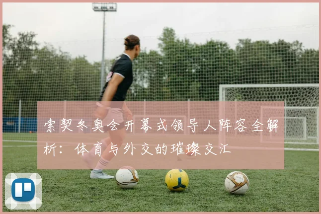 索契冬奥会开幕式领导人阵容全解析：体育与外交的璀璨交汇